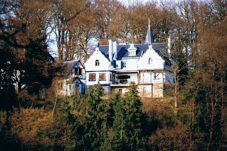 Schloss  Sayneck